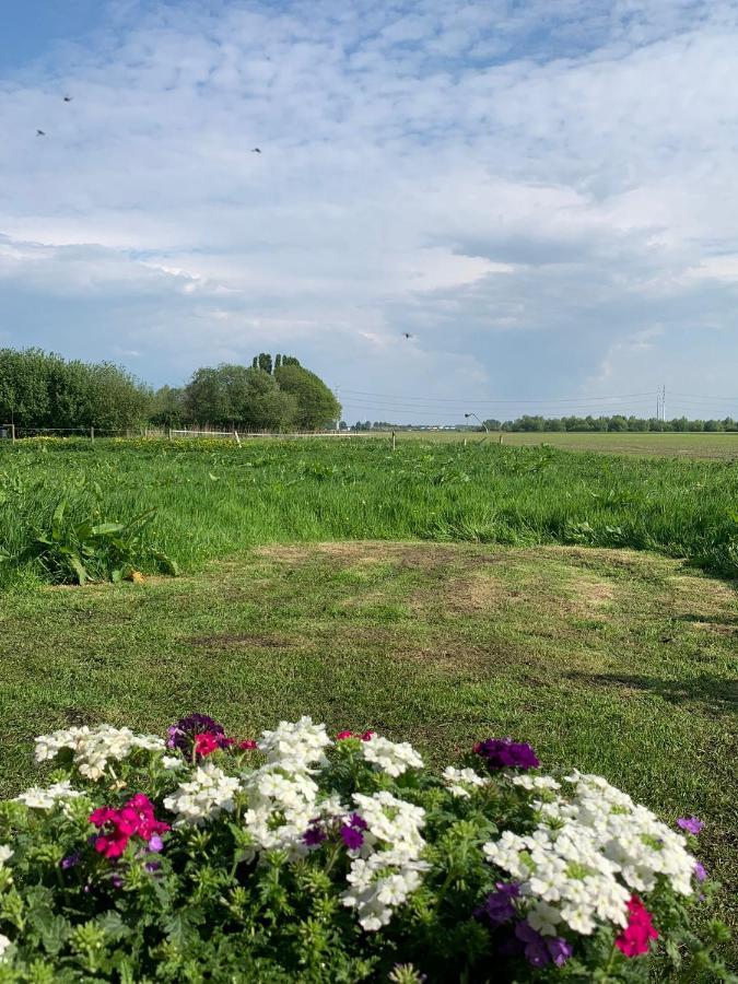 Fields 1216 Bed and Breakfast Zwaanshoek Buitenkant foto